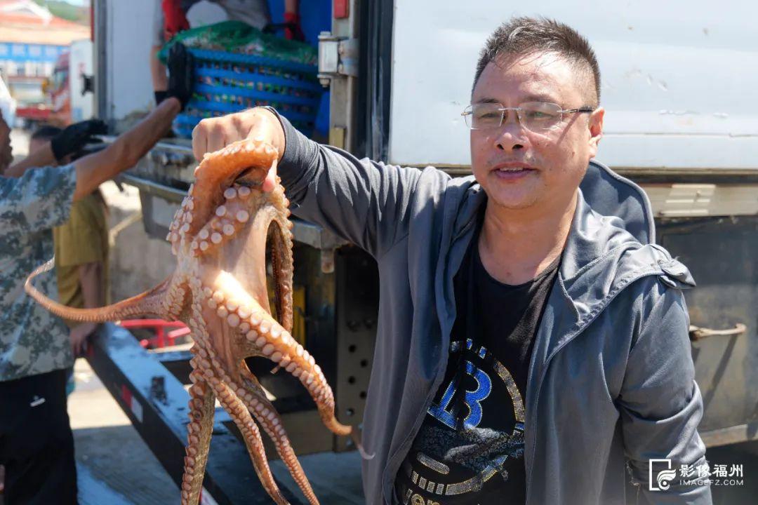 “虾兵蟹将鱼大王”来了！福州人都爱吃！