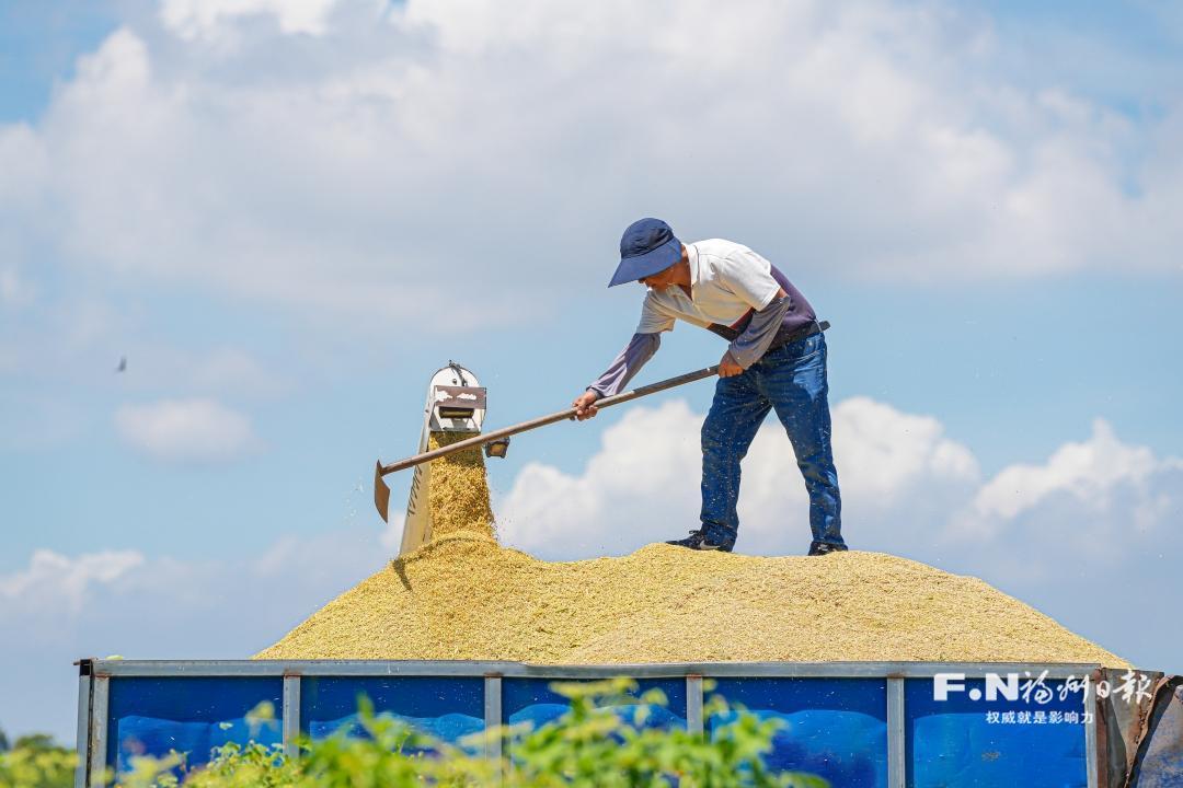 这项省考，福州“六连优”