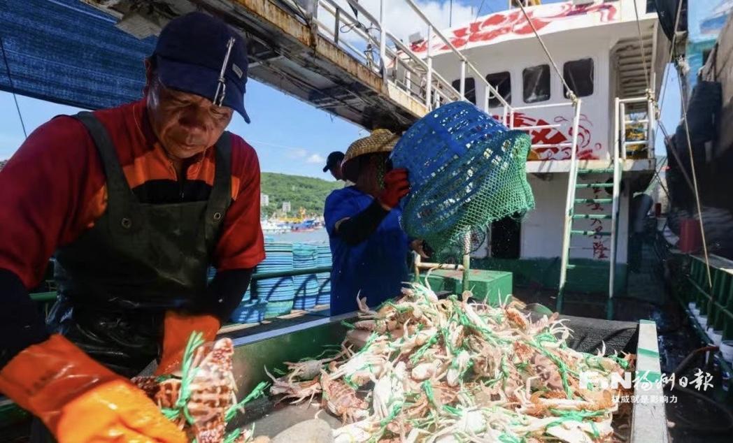 连江：陆海交响曲奏响丰收乐章