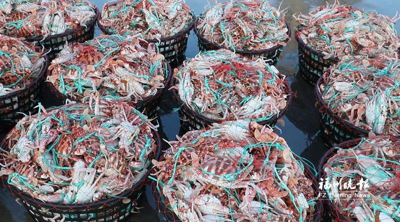 福州“开渔第一网”海鲜上岸了