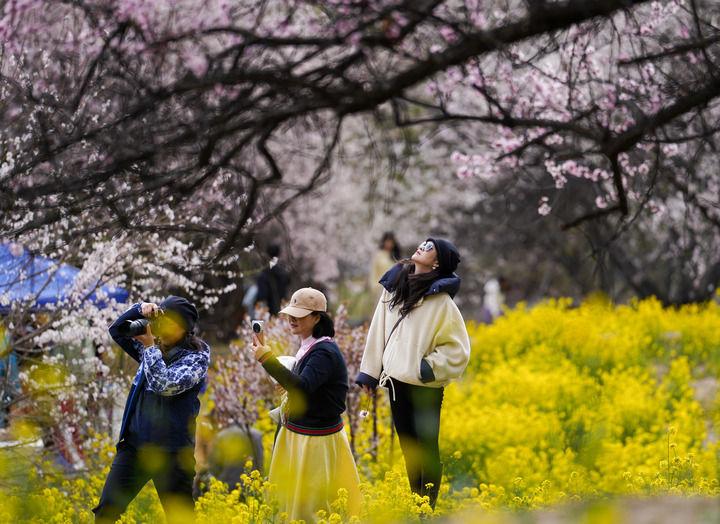 格桑花开映山河 团结奋进新征程——以习近平同志为核心的党中央情系雪域儿女擘画西藏发展纪实