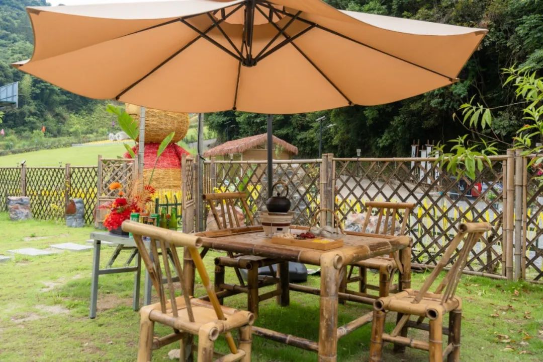 这里的夏天，凉飕飕绿油油！