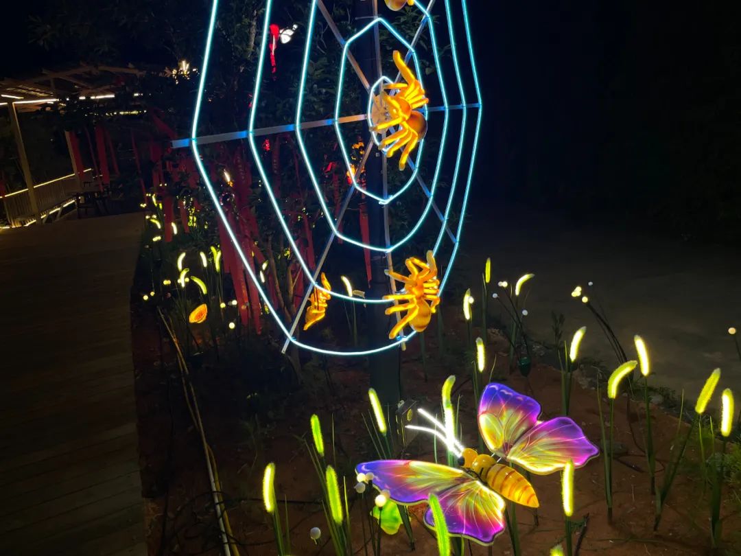 这里的夏天，凉飕飕绿油油！