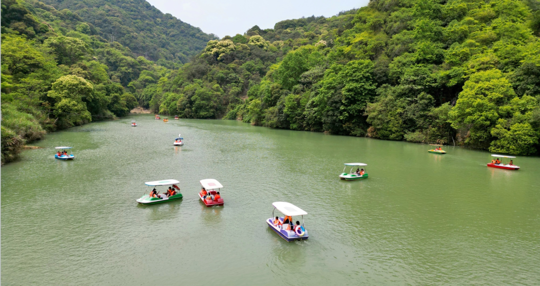 这里的夏天，凉飕飕绿油油！