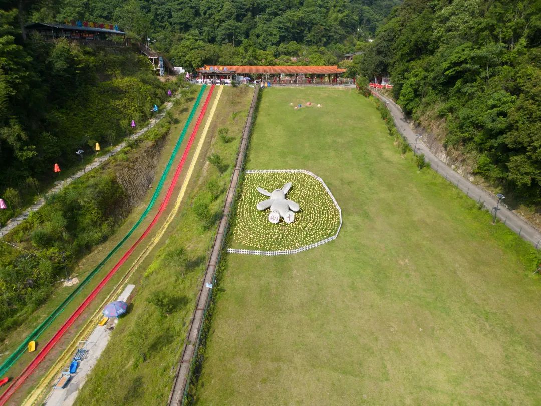 这里的夏天，凉飕飕绿油油！