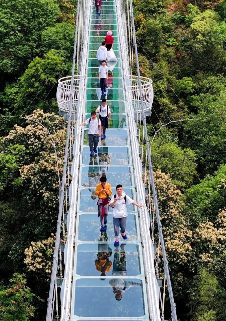 这里的夏天，凉飕飕绿油油！