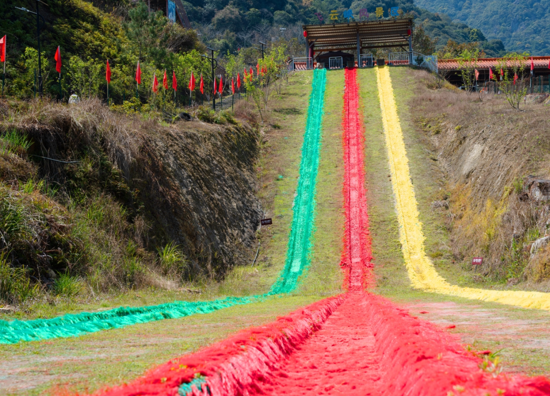 这里的夏天，凉飕飕绿油油！
