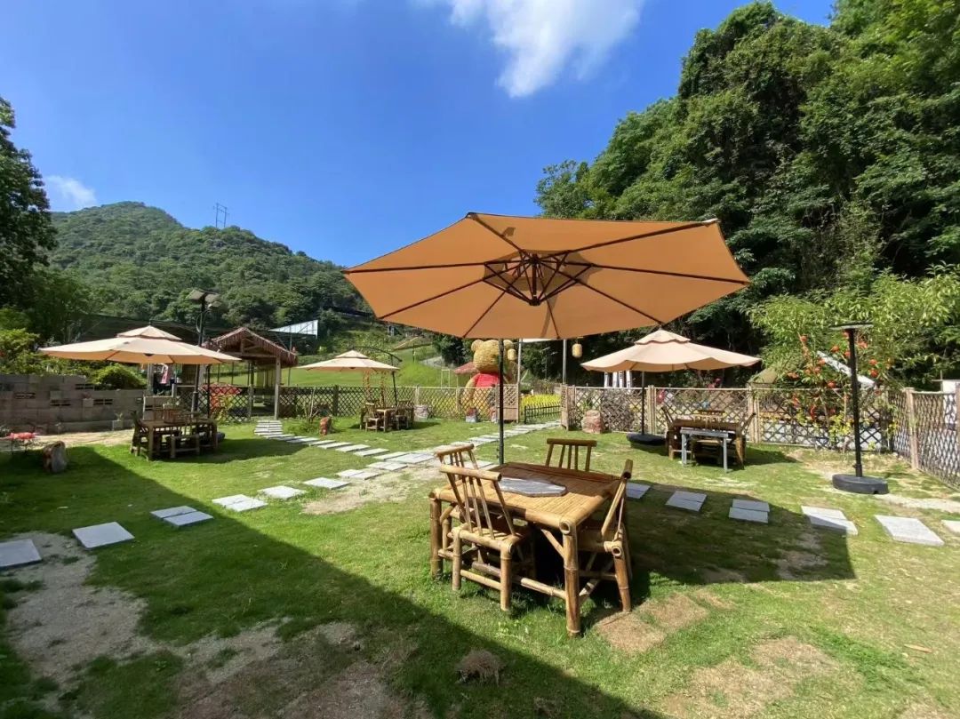 这里的夏天，凉飕飕绿油油！