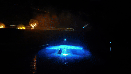 这里的夏天，凉飕飕绿油油！