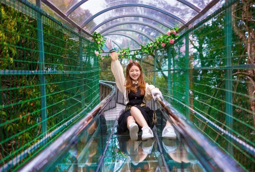 这里的夏天，凉飕飕绿油油！