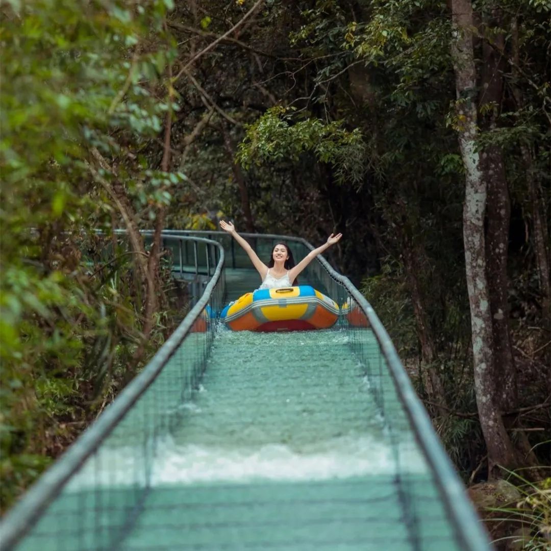 这里的夏天，凉飕飕绿油油！