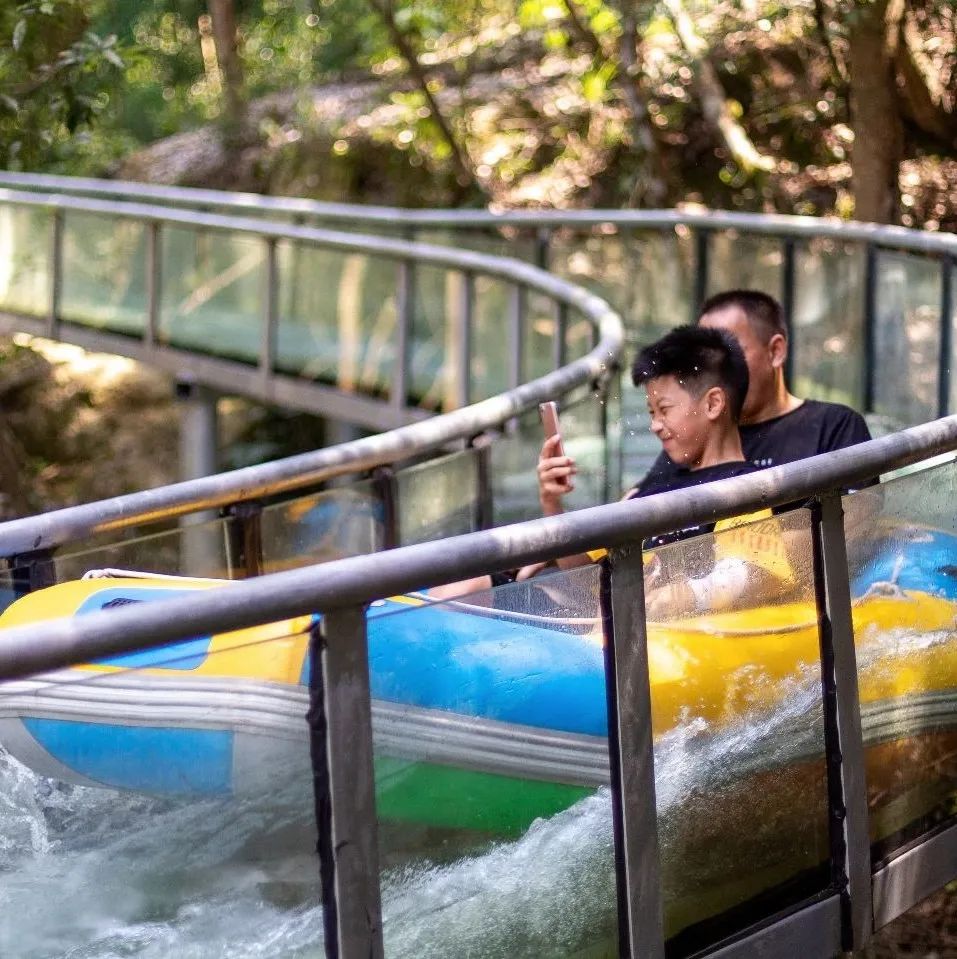 这里的夏天，凉飕飕绿油油！