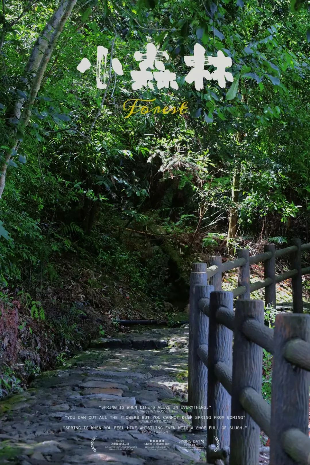 这里的夏天，凉飕飕绿油油！