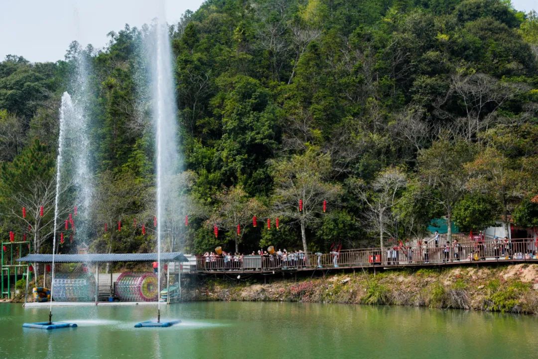 这里的夏天，凉飕飕绿油油！
