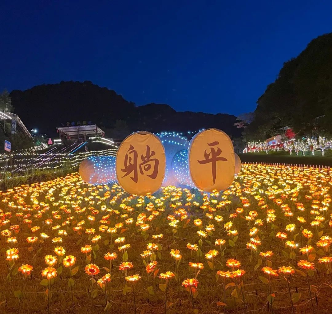 这里的夏天，凉飕飕绿油油！