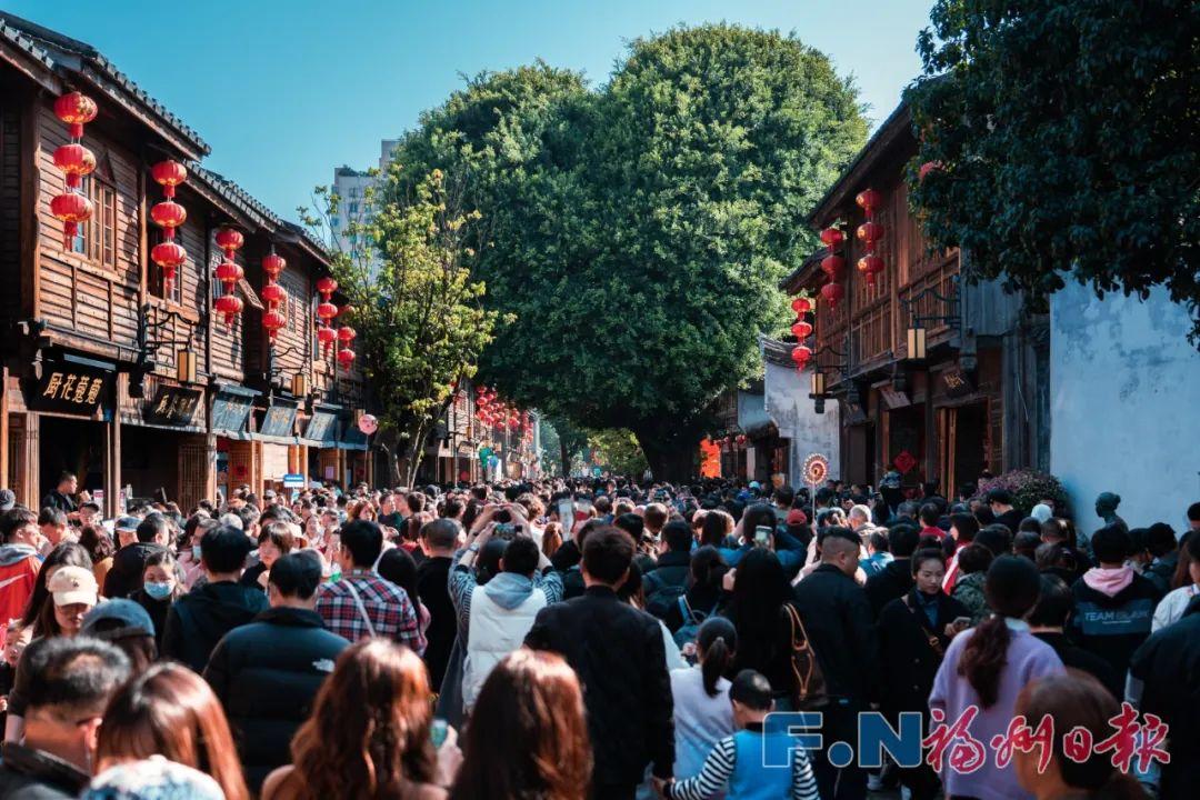 绿荫满城！福州榕树火上央视