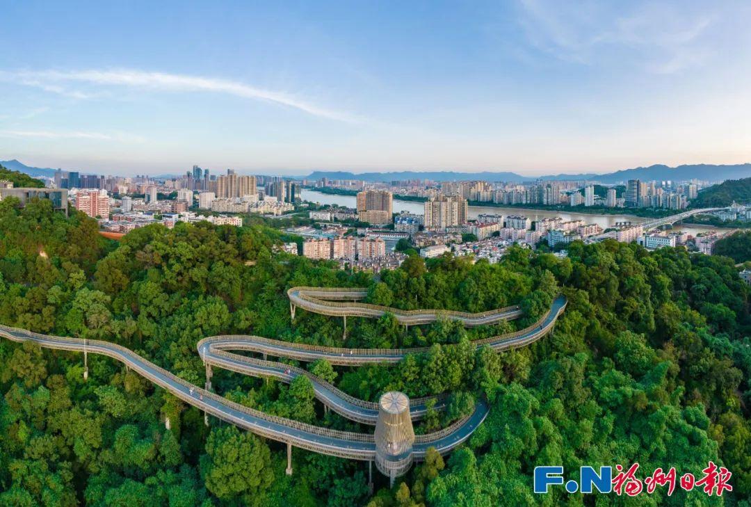 绿荫满城！福州榕树火上央视