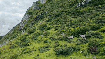 跟着总书记的考察足迹｜瞰西藏