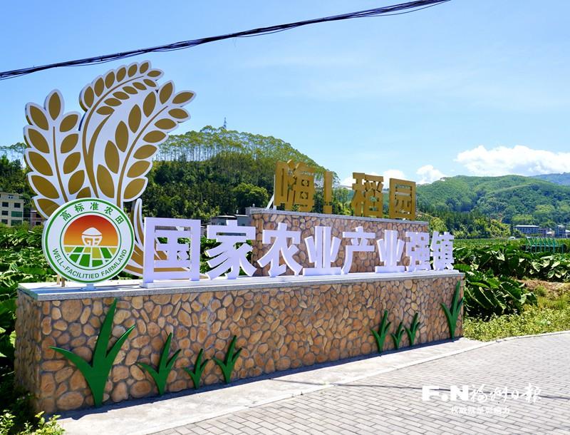 闽清：产业融合织锦绣 “后花园”里竞芳菲