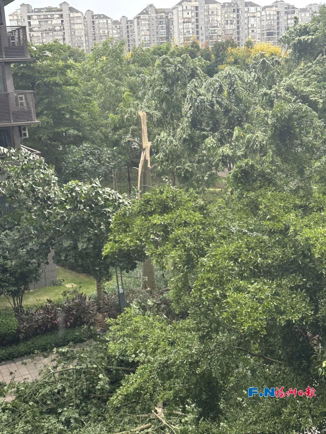 67条预警！福州一秒天黑！尽量别出门！