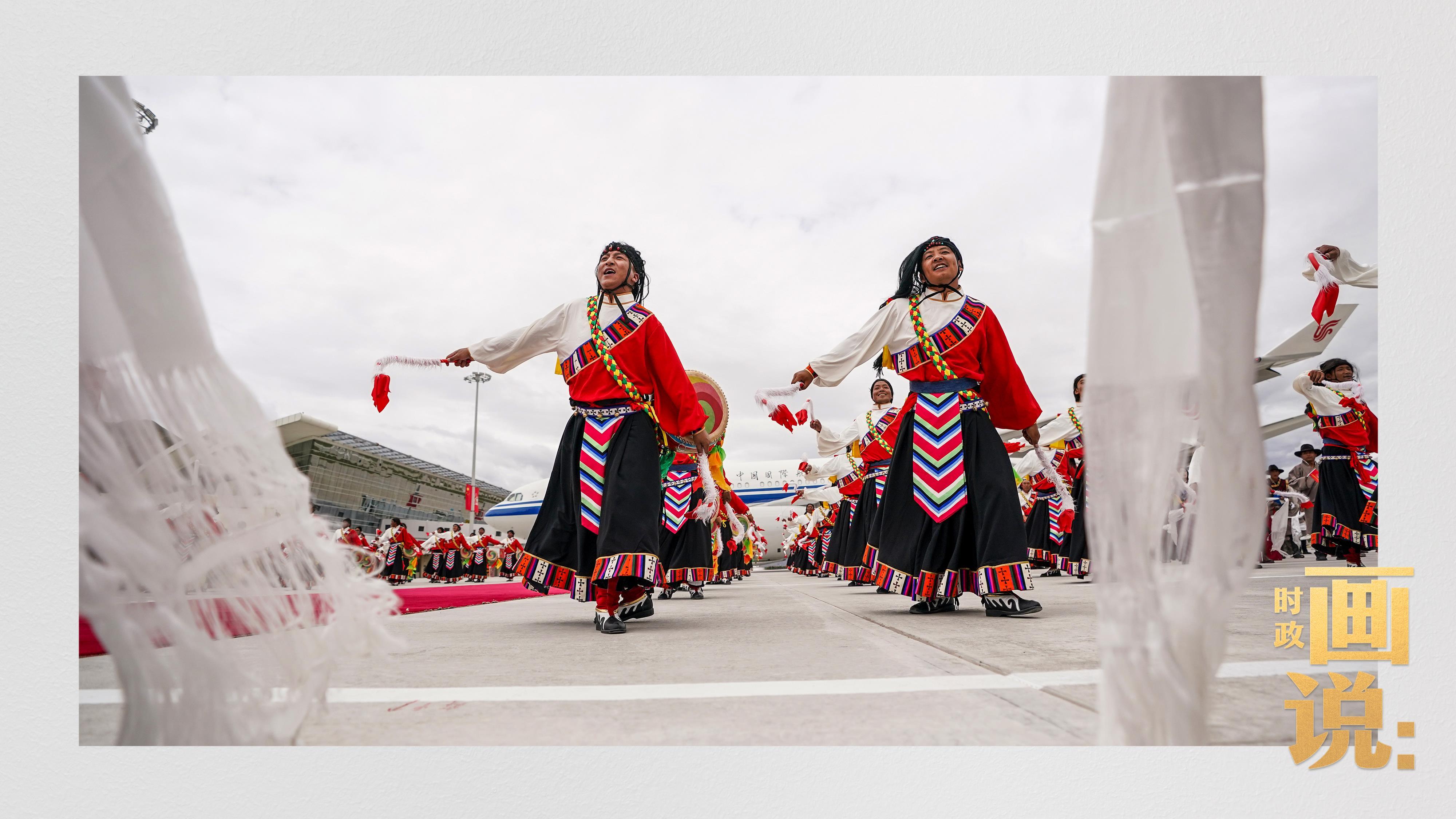 时政画说丨格桑花开