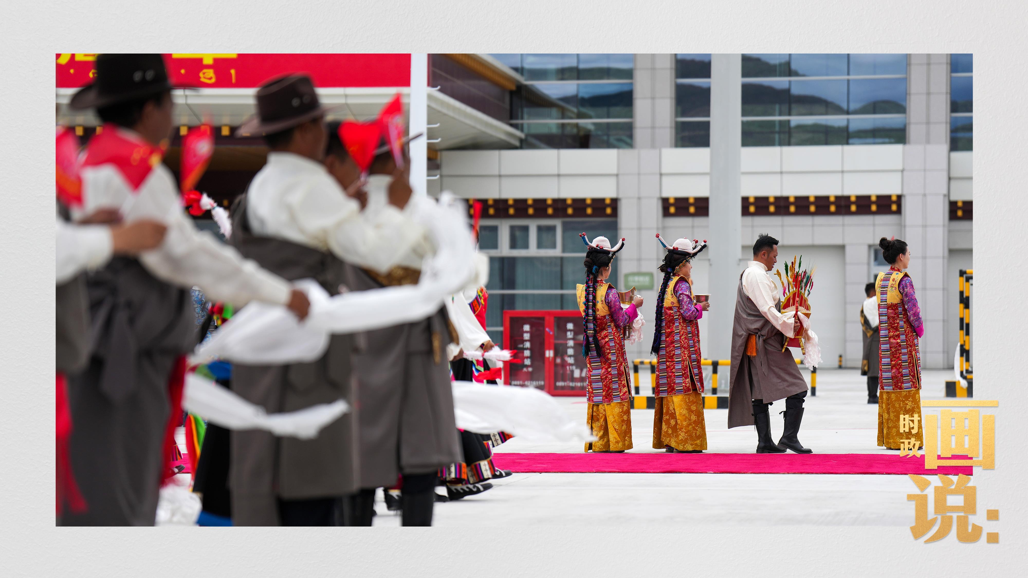 时政画说丨格桑花开