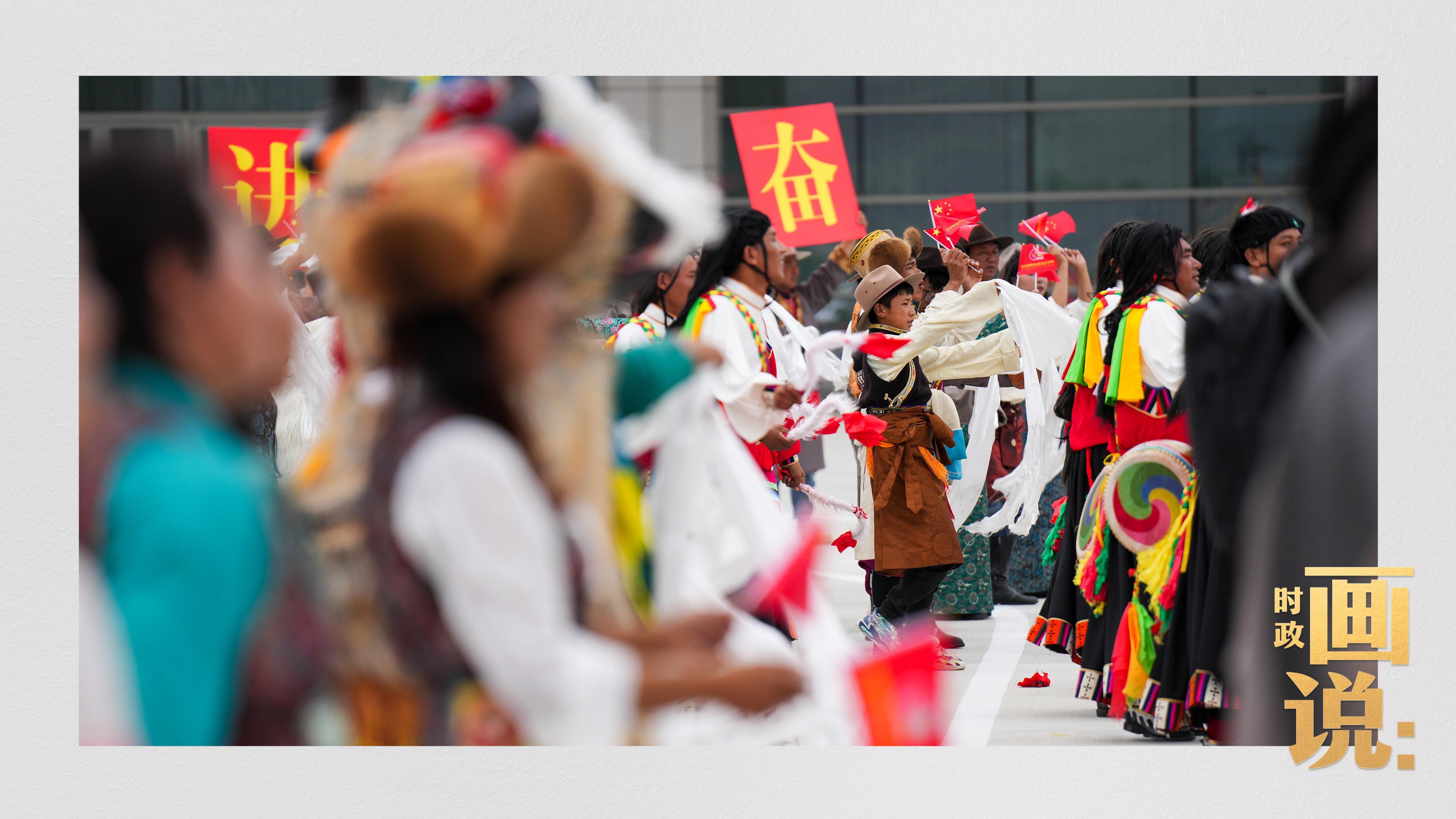 时政画说丨格桑花开