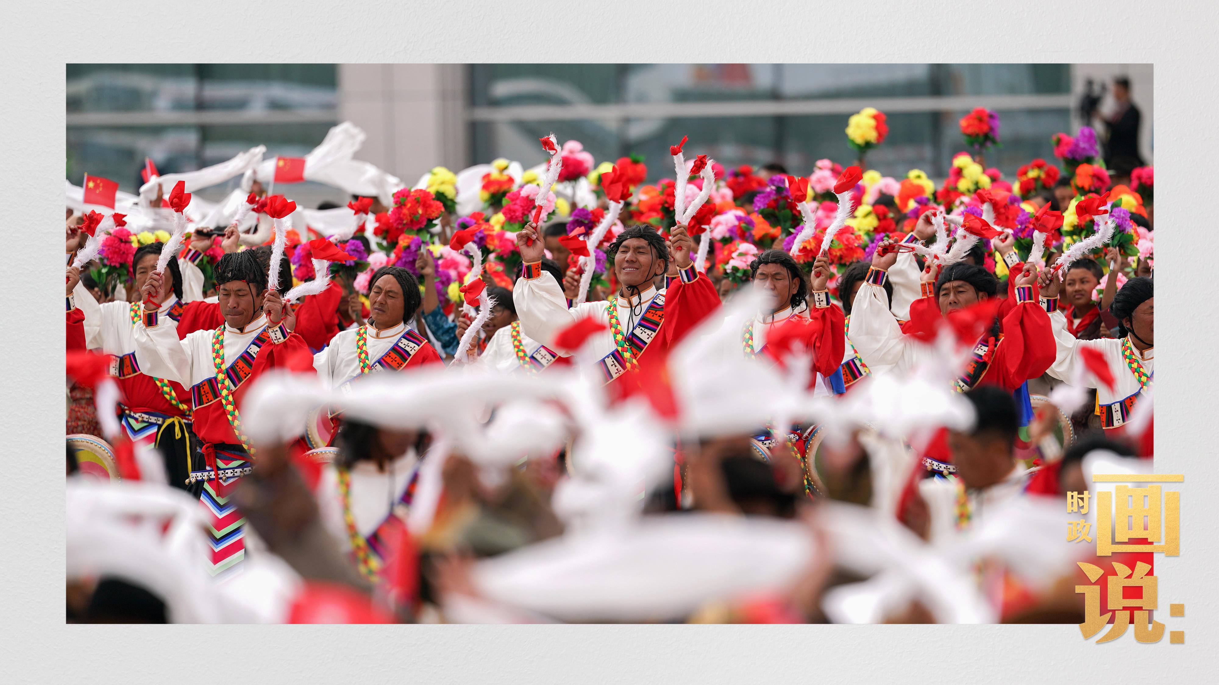 时政画说丨格桑花开