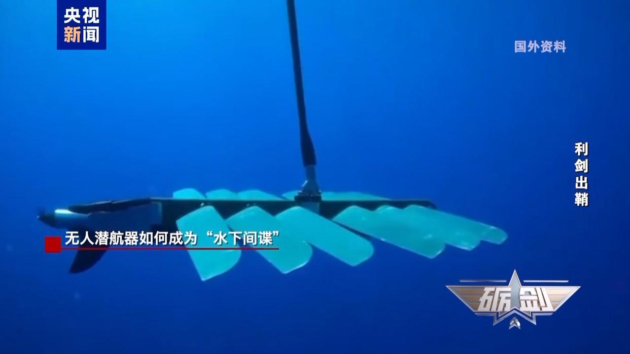 中国渔民多次捞到“间谍鱼”