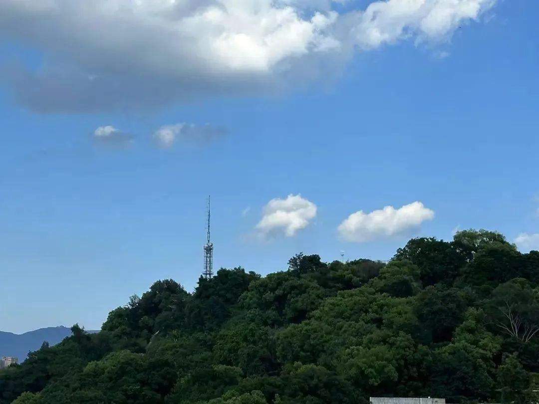 23日4时33分，福州正式迎来处暑天气