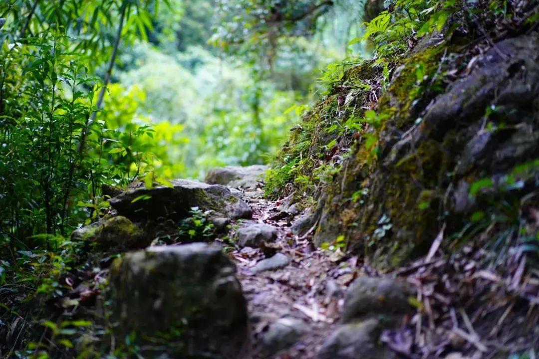 出发！解锁福州红色研学线路