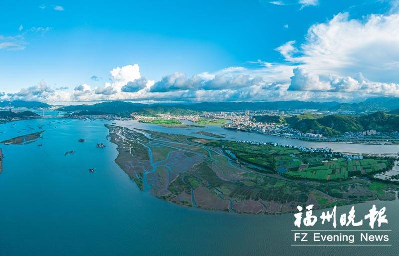 塔礁洲湿地公园：“江上孤岛”变鸟类天堂