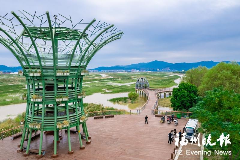 塔礁洲湿地公园：“江上孤岛”变鸟类天堂