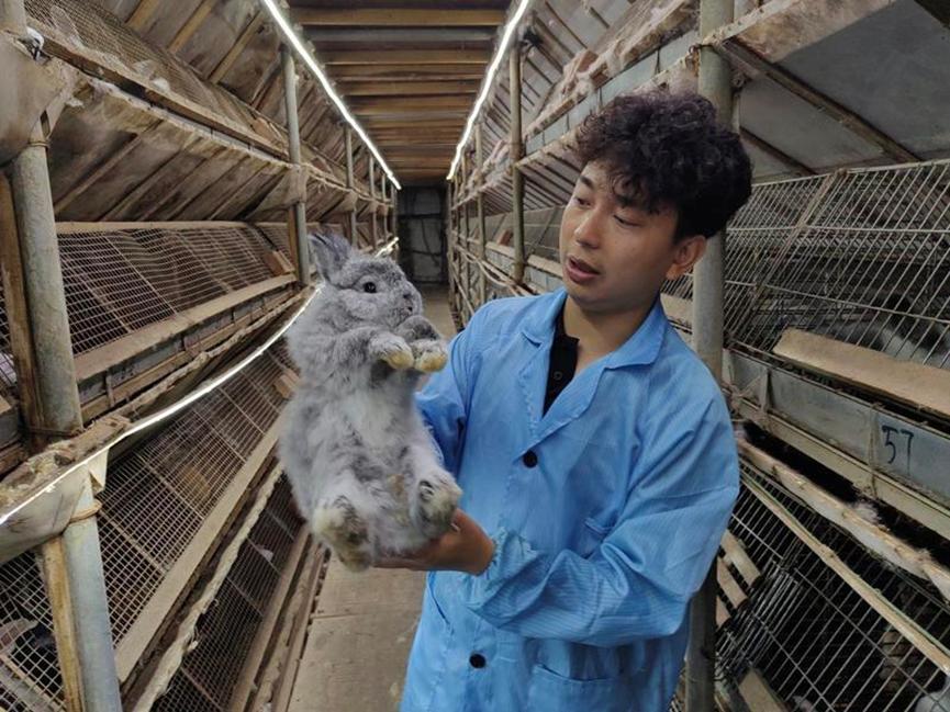 3000亿大市场！你的爱宠可能比你更会“花钱”