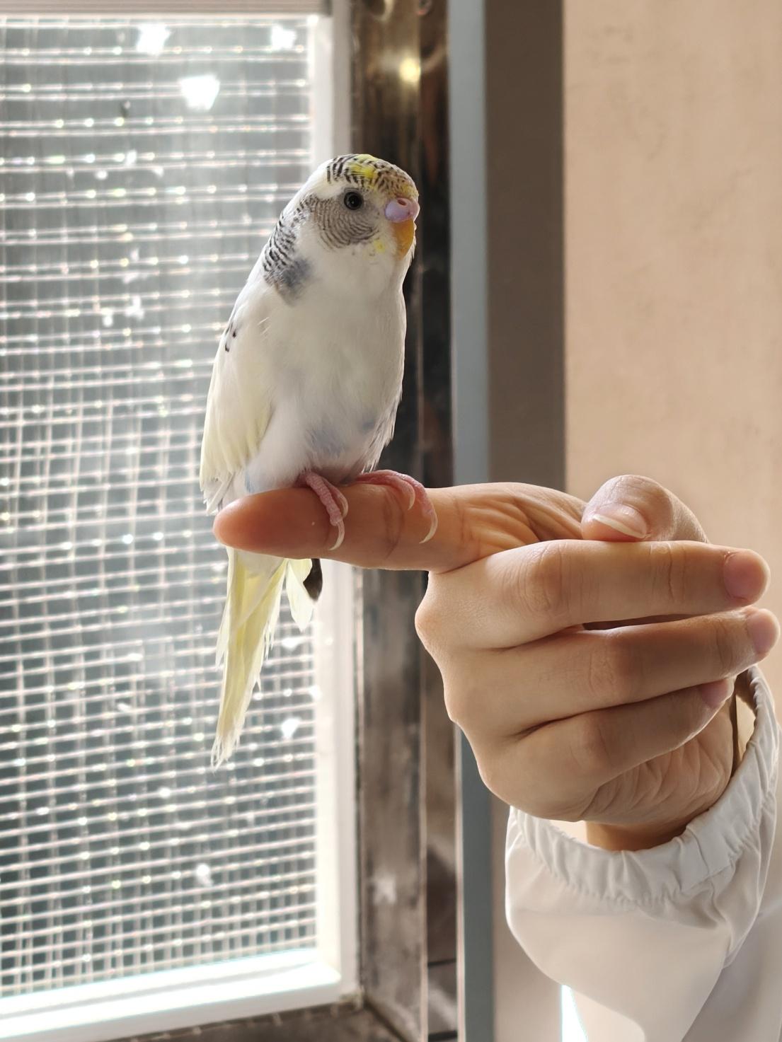 3000亿大市场！你的爱宠可能比你更会“花钱”