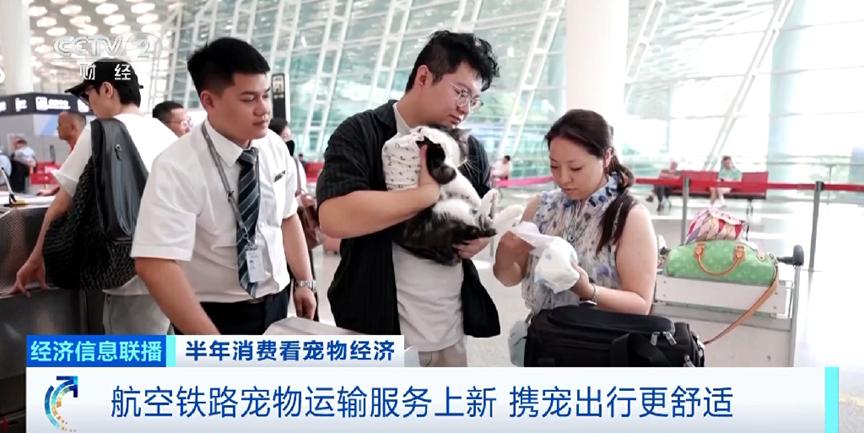 3000亿大市场！你的爱宠可能比你更会“花钱”