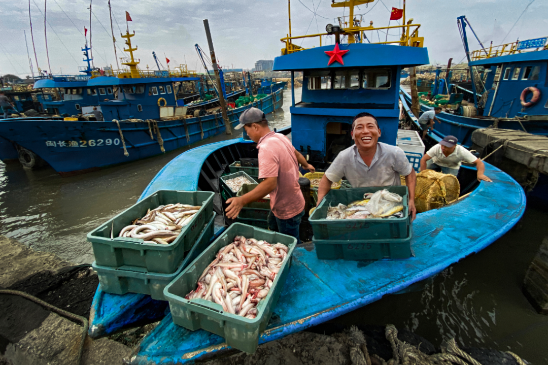 处暑丨暑退云舒，凉风有信