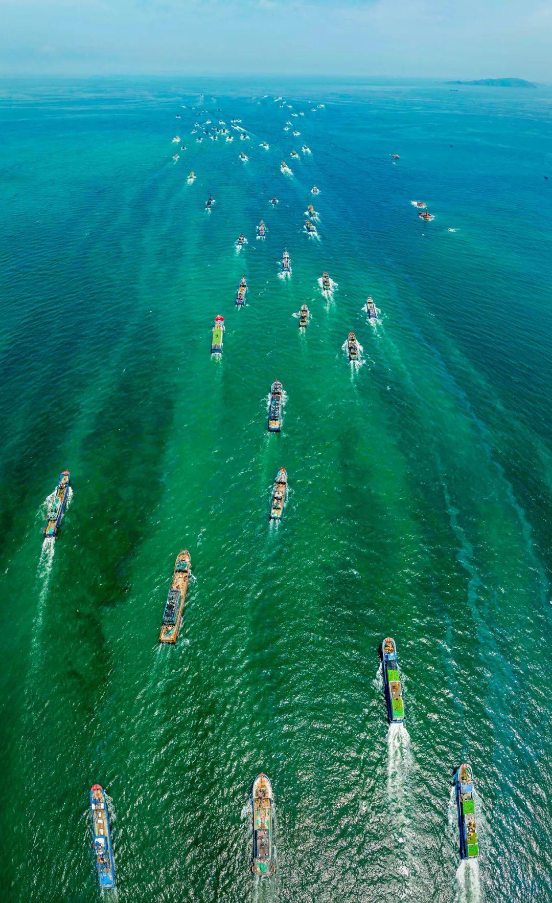 处暑丨暑退云舒，凉风有信