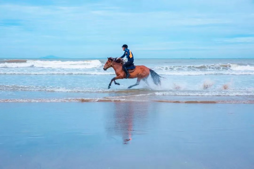 处暑丨暑退云舒，凉风有信