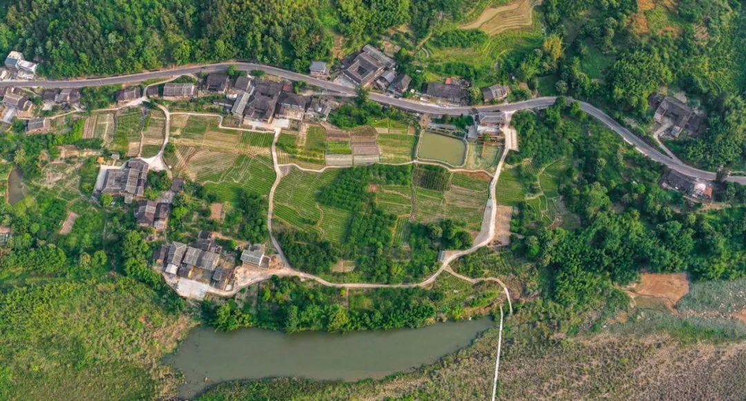 处暑丨暑退云舒，凉风有信