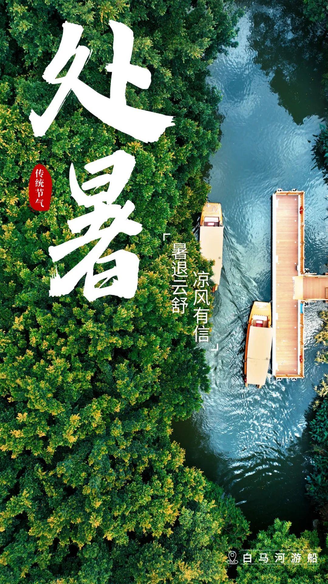 处暑丨暑退云舒，凉风有信