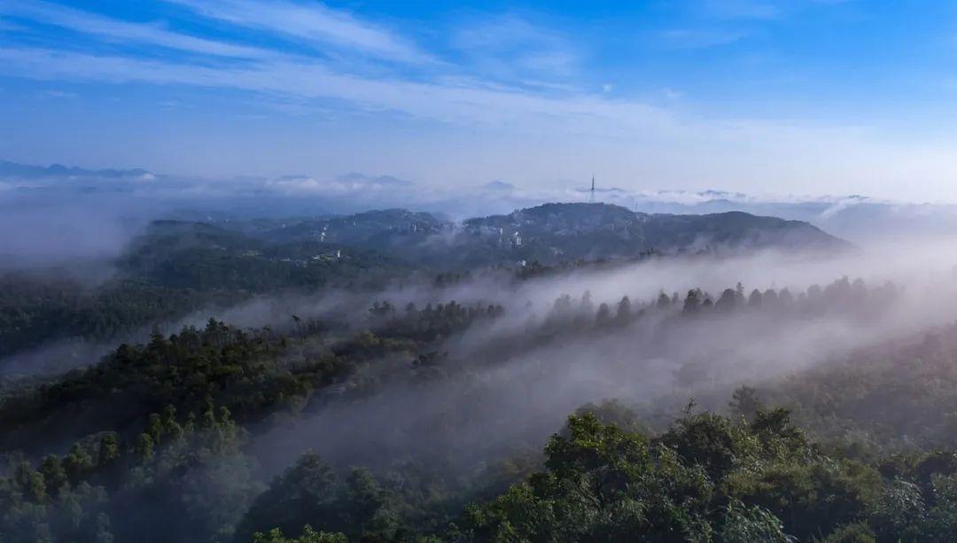 处暑丨暑退云舒，凉风有信