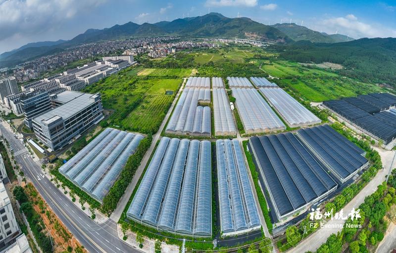 福清漈头村：红土地催开振兴之花