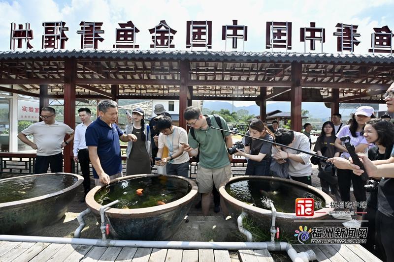 活力中国调研行｜直播带货，让福州金鱼畅“游”世界