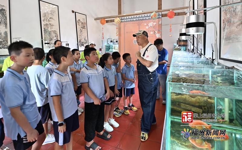 活力中国调研行｜直播带货，让福州金鱼畅“游”世界
