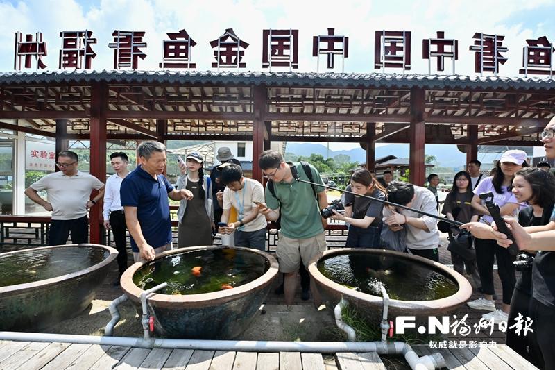 闽侯金鱼产业“游”向新赛道