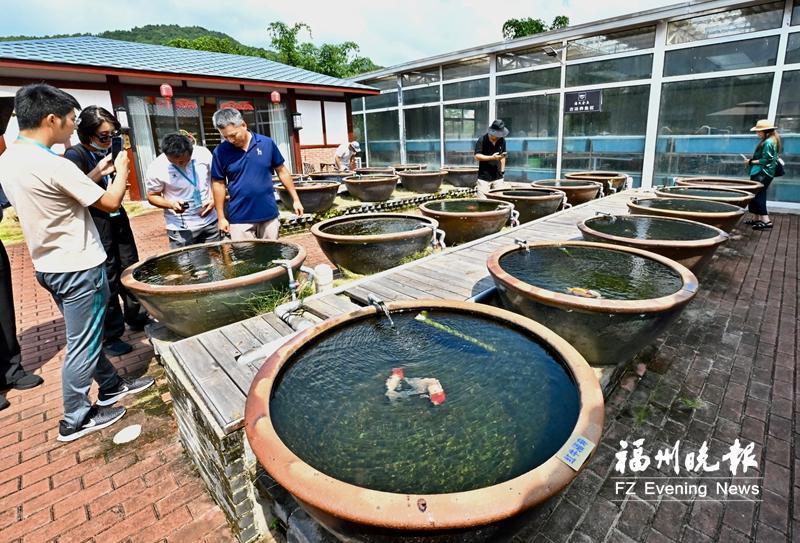 解锁福州金鱼产业发展新动能