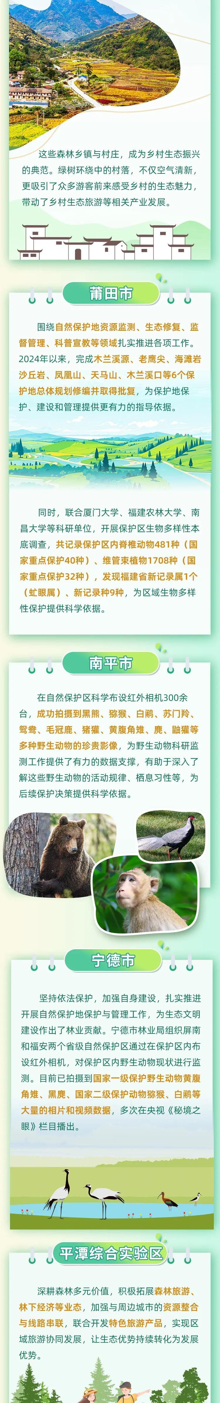 10个森林乡镇+79个森林村庄……闽东北“四市一区”共绘生态画卷