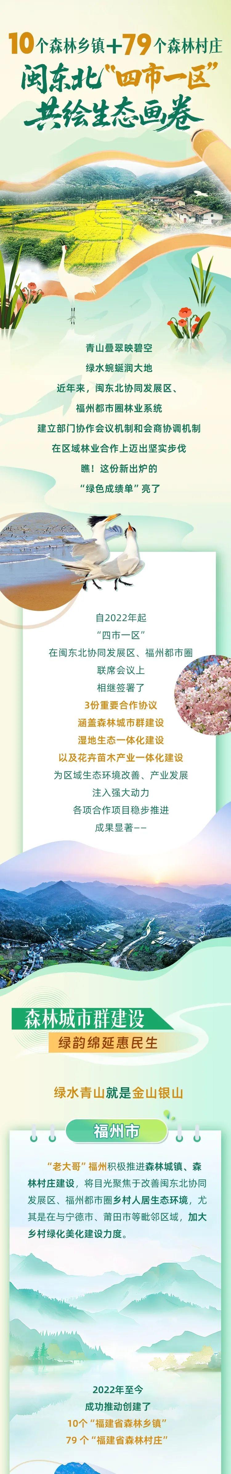 10个森林乡镇+79个森林村庄……闽东北“四市一区”共绘生态画卷