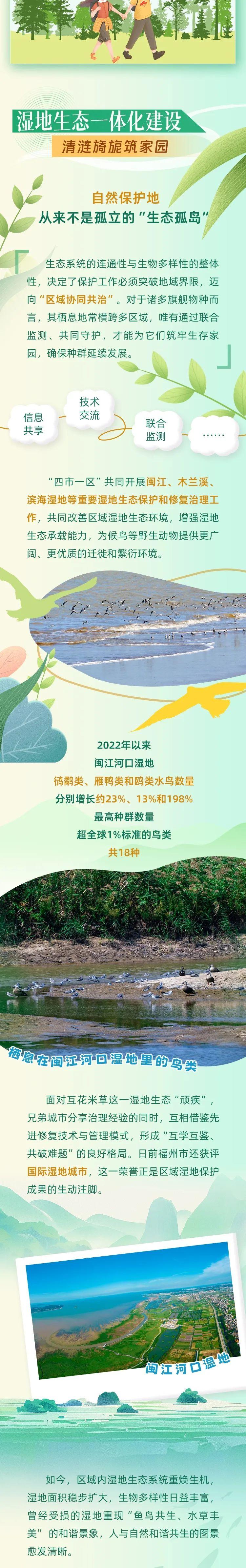 10个森林乡镇+79个森林村庄……闽东北“四市一区”共绘生态画卷